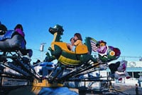 Elmwood Motor Court - Amusement Parks