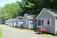 Elmwood Motor Court - Cabins